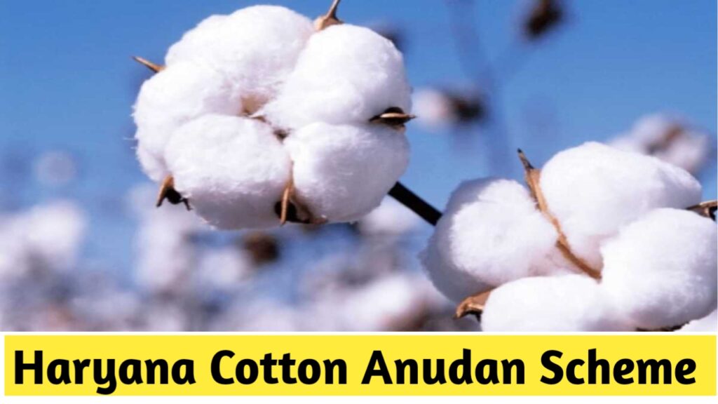 Haryana Cotton Anudan Yojana Apply Online