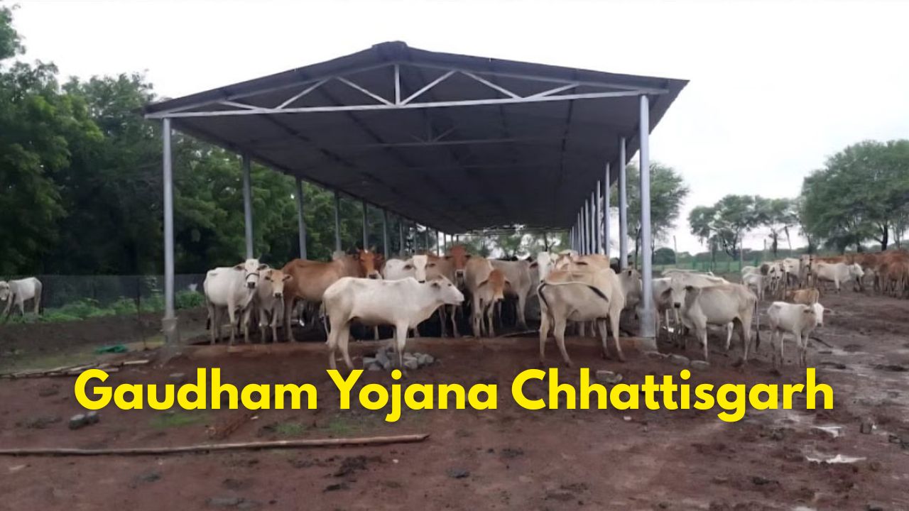 Gaudham Yojana Chhattisgarh