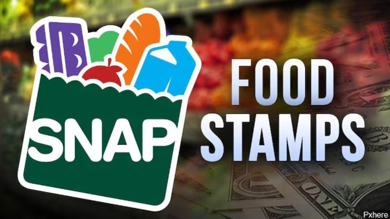 supplemental nutrition assistance program food stamps