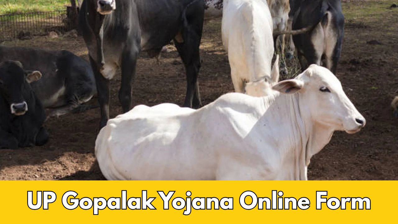 UP Gopalak Yojana Online Form