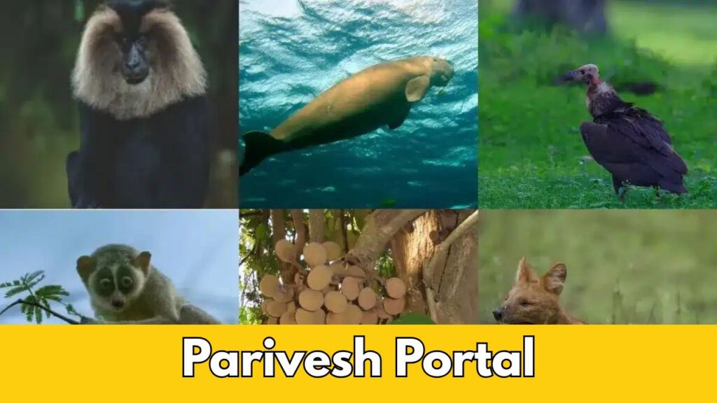 parivesh portal